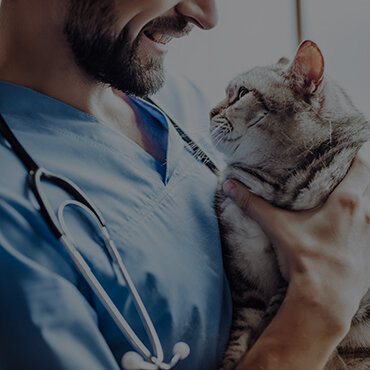 NEARBY VETERINARY HOSPITALS