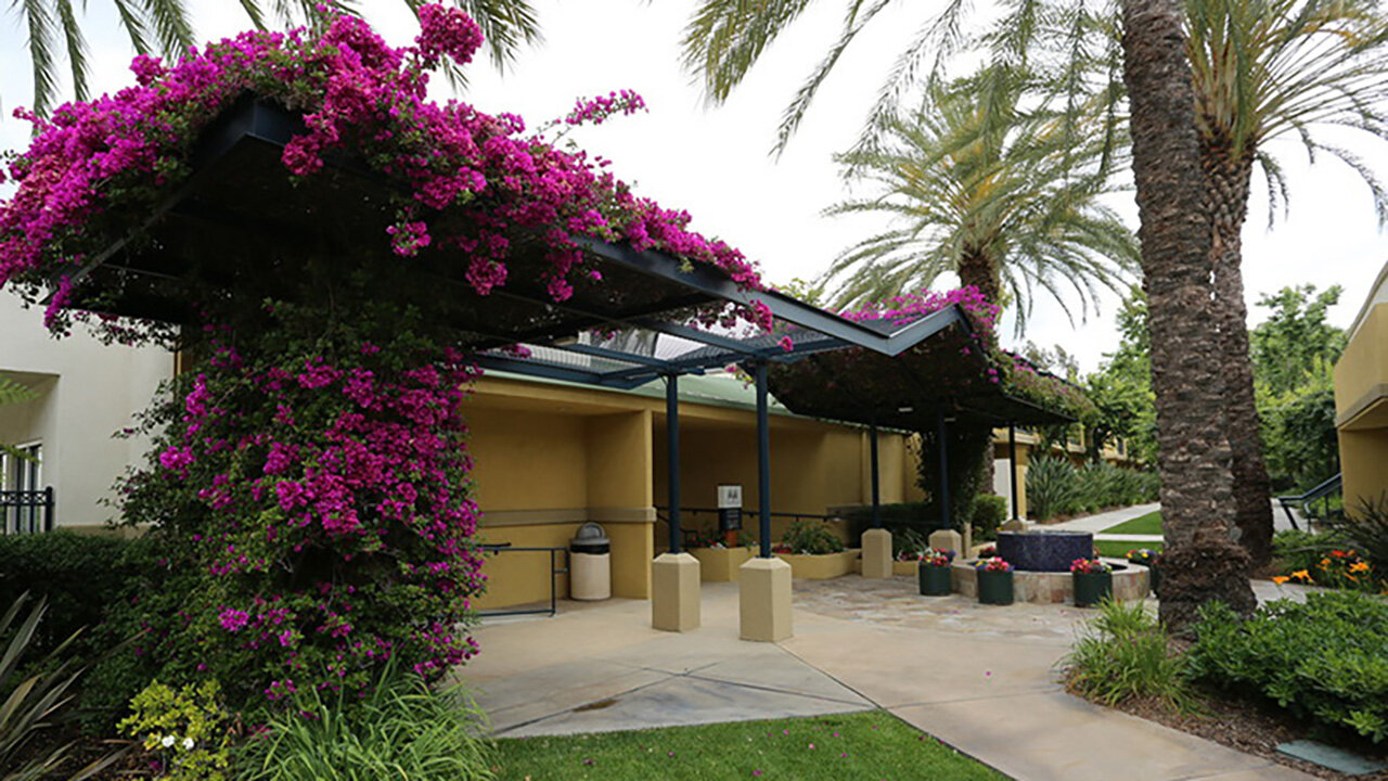 Tribeca Apartments Neighborhood