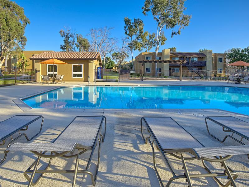 Swimming Pool | Rio Vista Apartments in San Ysidro, CA