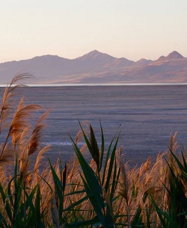 Utah Lake