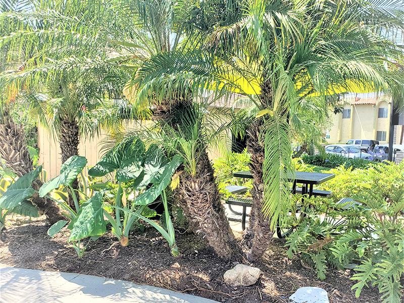 Beautiful Landscaping | Anaheim Cottages