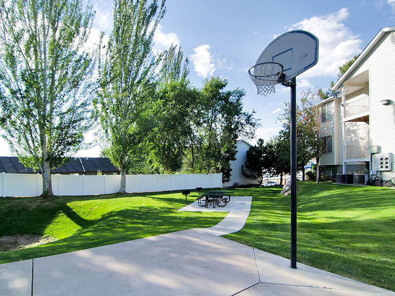 Basketball Court | Cherry Lane