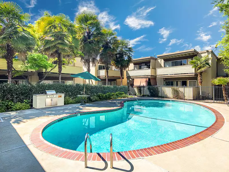 Swimming Pool | Enclave Apartments in Walnut Creek, CA