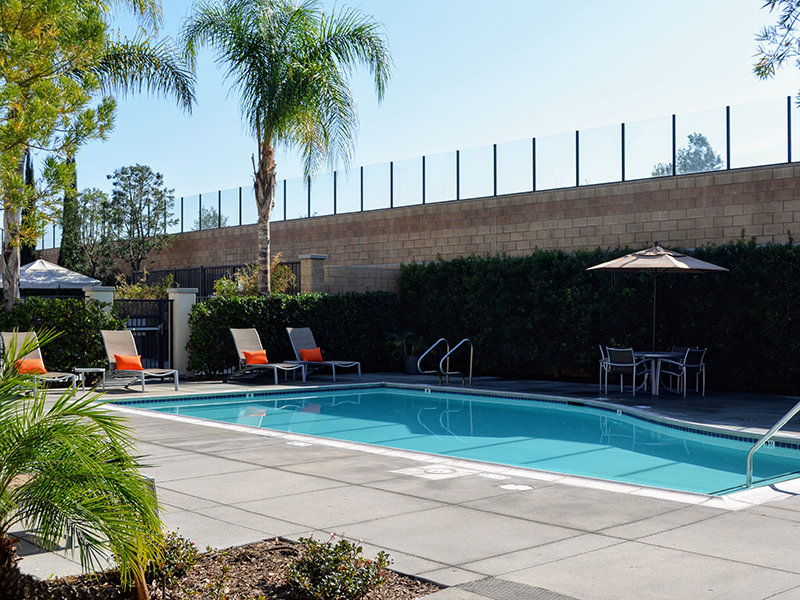 Apartments with a Pool | Placita Luxe Apartments