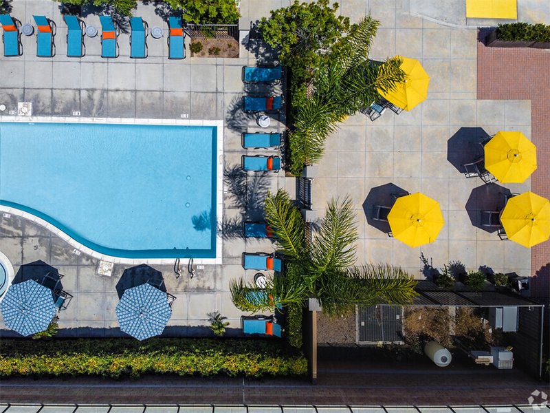 Swimming Pool Overview | Placita Luxe Apartments