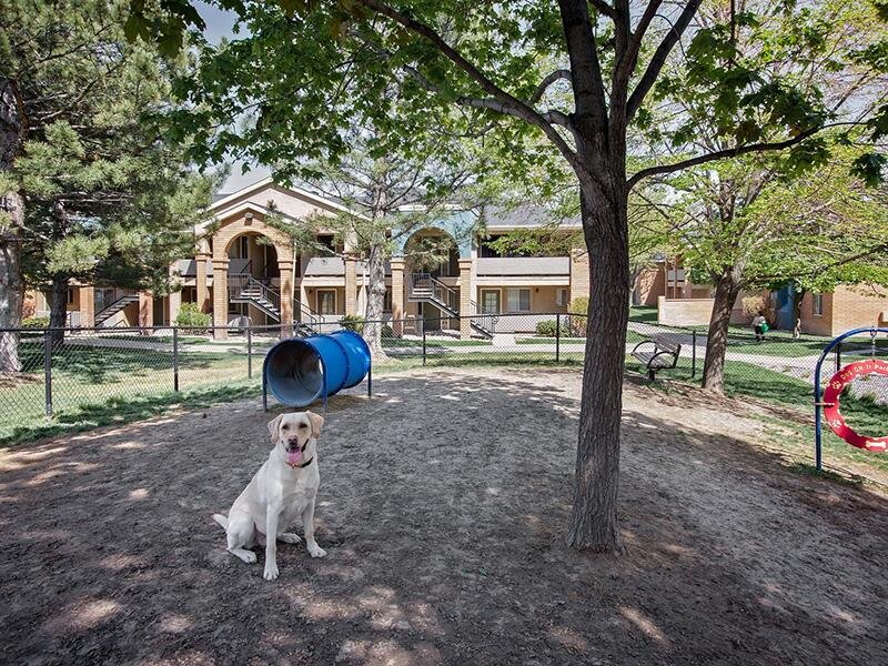 Pet Park | Embarc at West Jordan