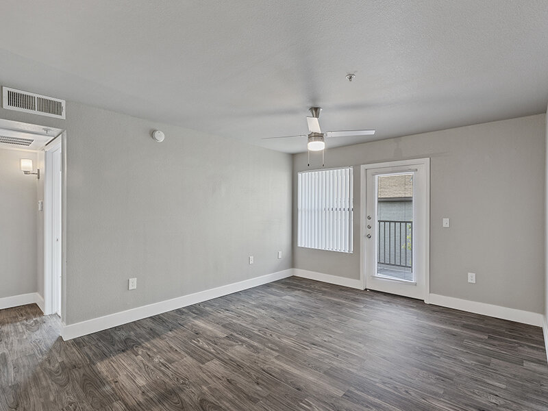 Spacious Room | Knight Vest
