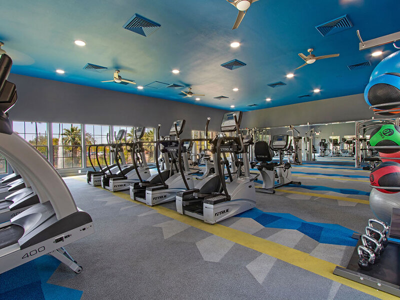 Exercise Area | Knight Vest