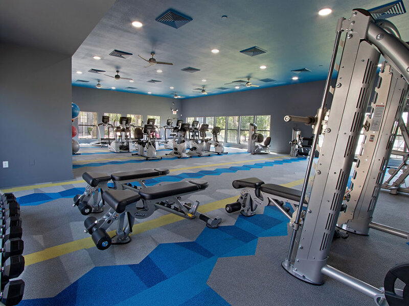 Exercise Room | Knight Vest
