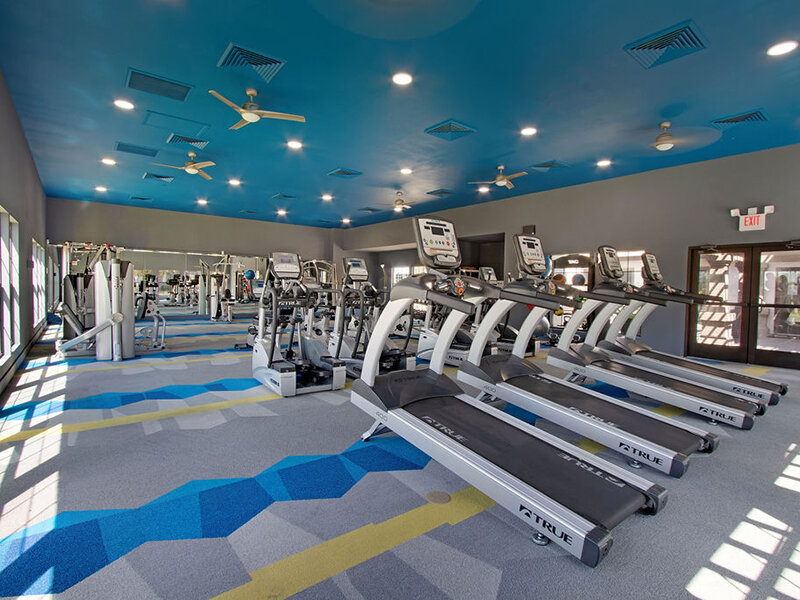 Fitness Room | Knight Vest
