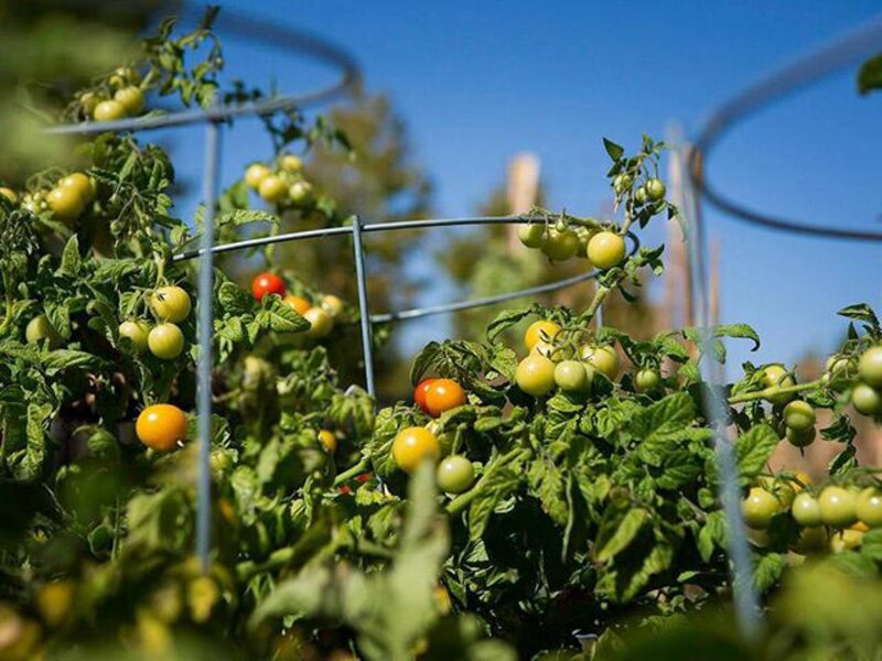 Crossing at Daybreak Apartments in South Jordan, U