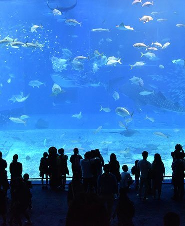 Monterey Bay Aquarium