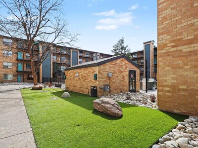 Dog Run | The Rambler