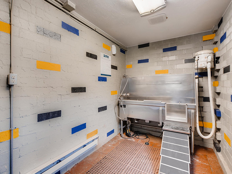 Dog Wash Station | The Atrii Apartments in Denver, CO