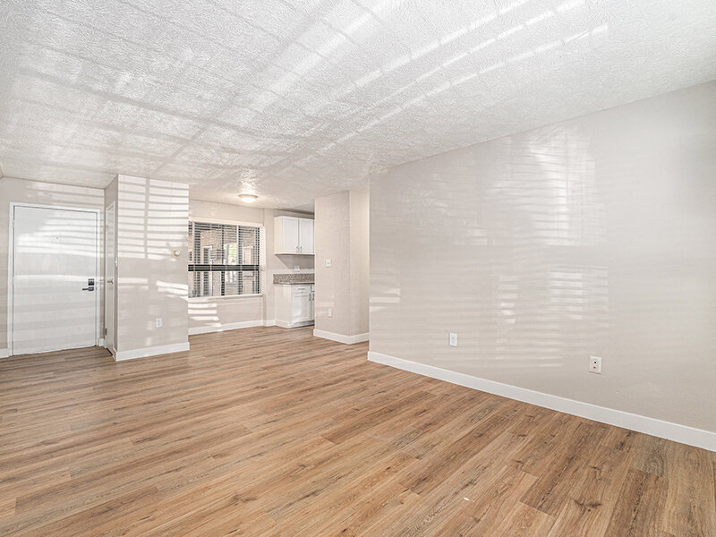 Open Concept Designs | The Atrii Apartments