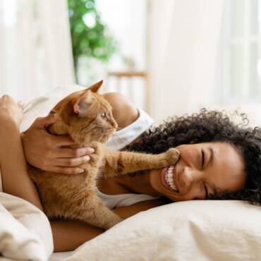 Large Dog Park near The Rambler