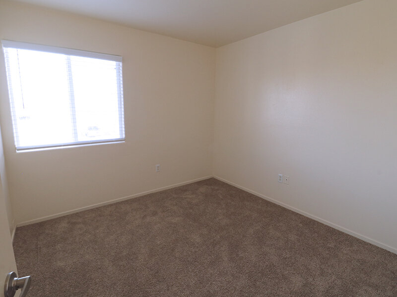 Large Room | Daybreak