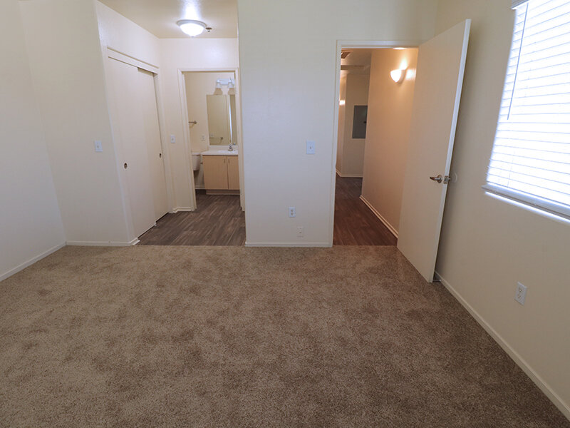 Spacious Room | Daybreak
