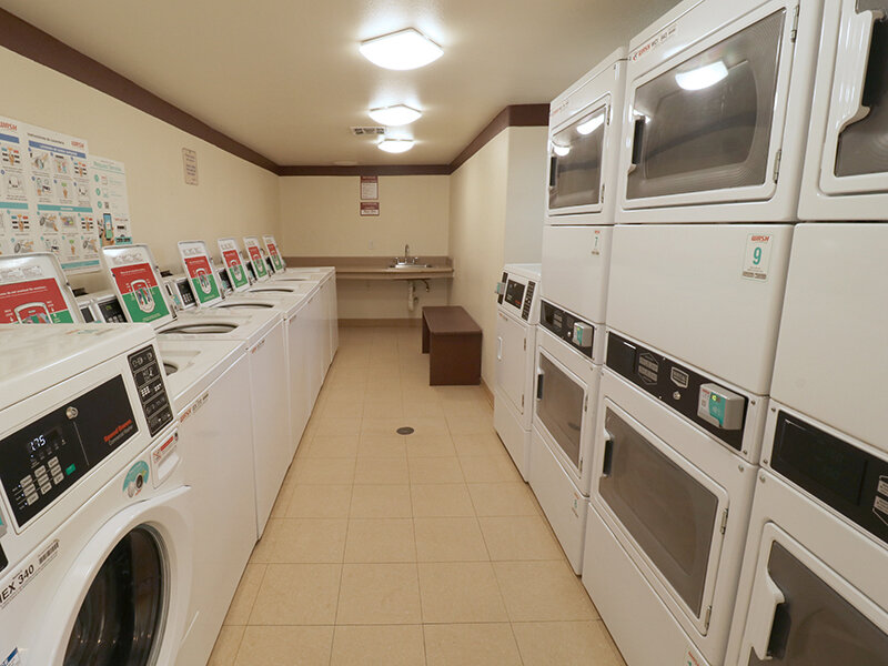 Laundry | Daybreak