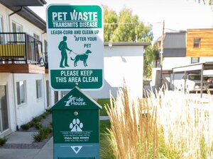 Joshua Tree Apartments | Exterior Pet | SLC , UT