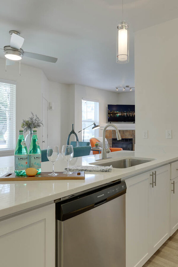 Kitchen Sink | Sunfield Lakes