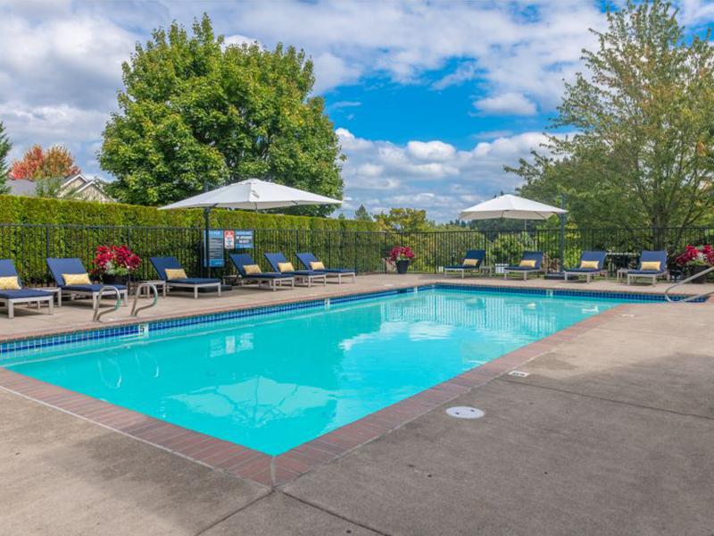 Pool | Bull Mountain Heights Apartments