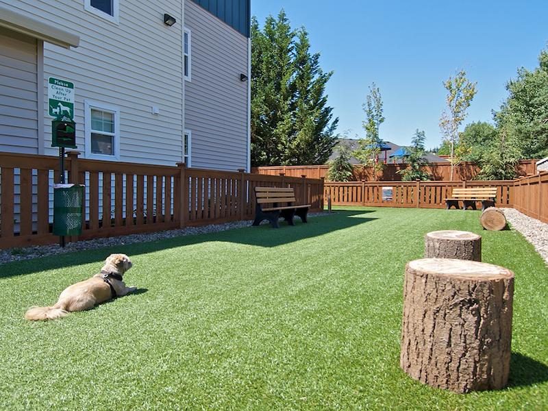 Outdoor Dog Park | Baseline Woods Apartments in Beaverton, OR