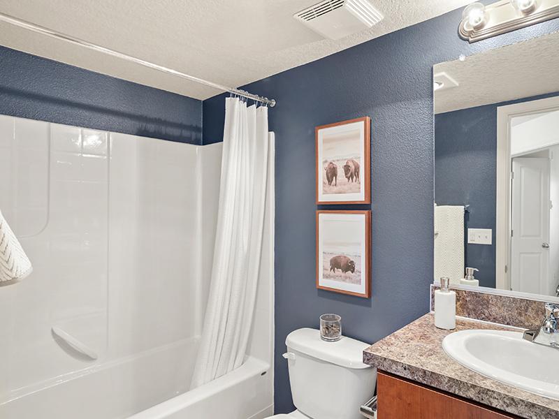Bathroom | Cedar Falls Apartments in Portland, OR