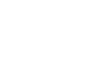 North Ridge Logo - Special Banner