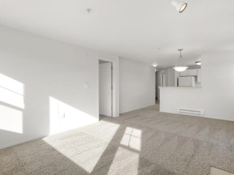 Carpeted Living Space | North Ridge Apartments