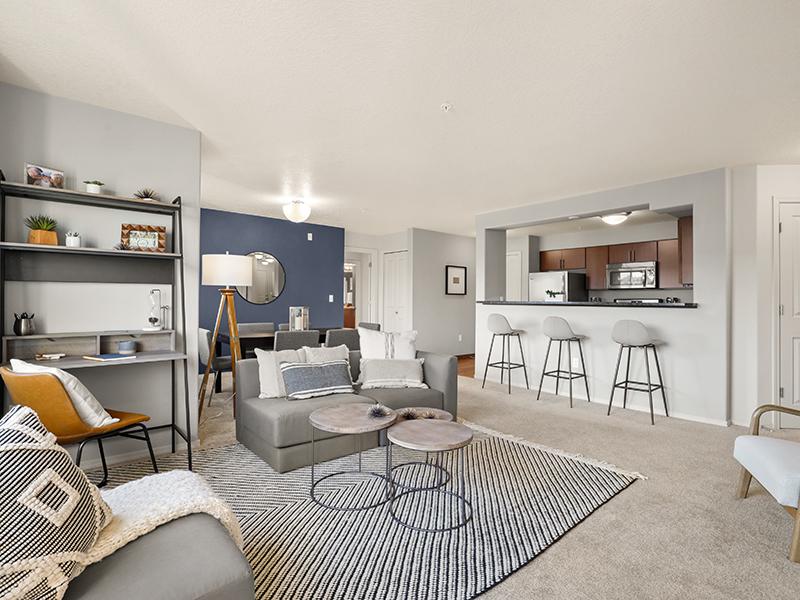Furnished Living Area | Sunridge Terrace Apartments
