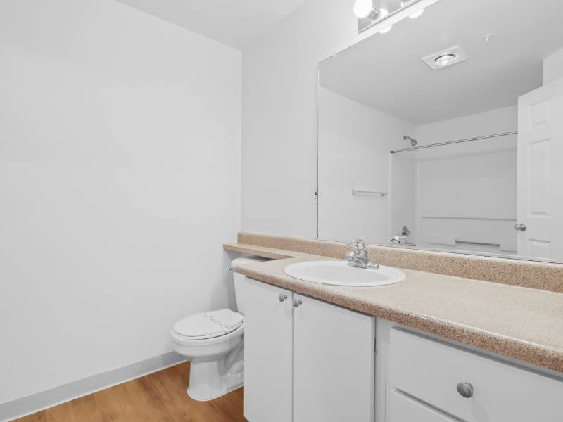 Bathroom Vanity | Birch Floorplan | Hidden Creek Apartments