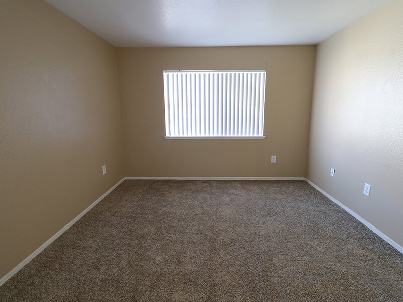 Large Window | Cedar Springs