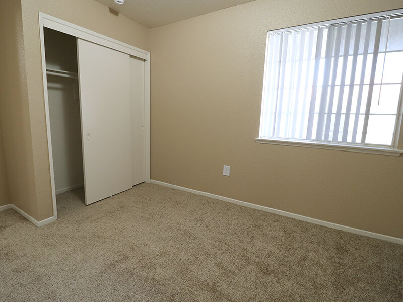 Luxury Room | Cedar Springs
