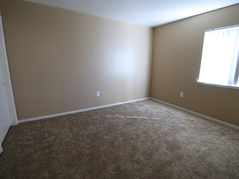 Large Room | Cedar Springs