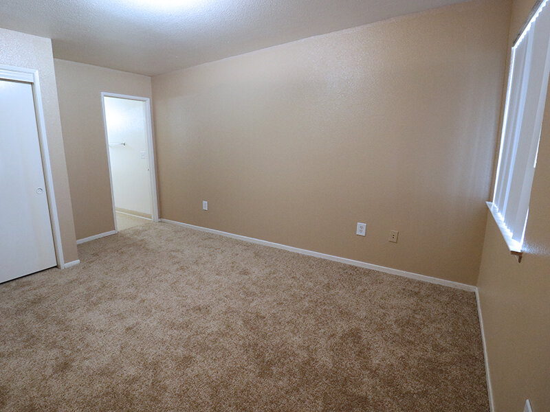 Interior Room | Cedar Springs
