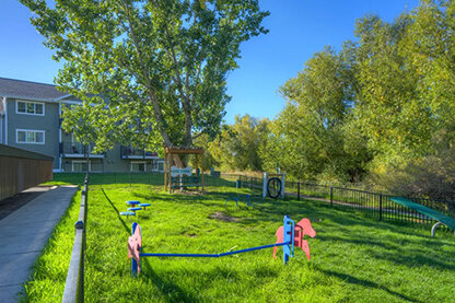 LOCAL CHARM at Mountain View