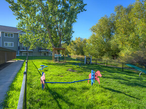 Dog Park | Mountain View