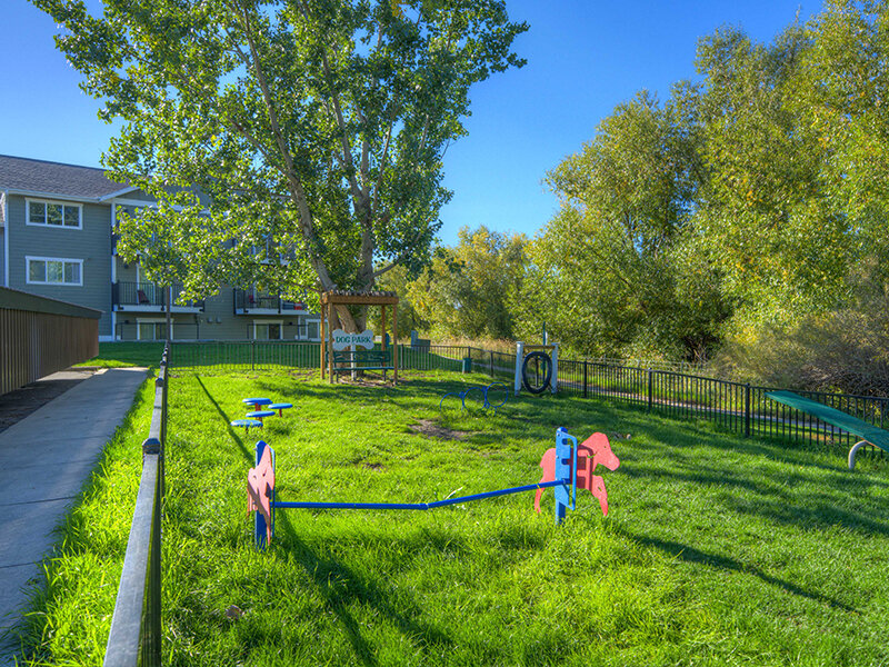 Dog Park | Mountain View