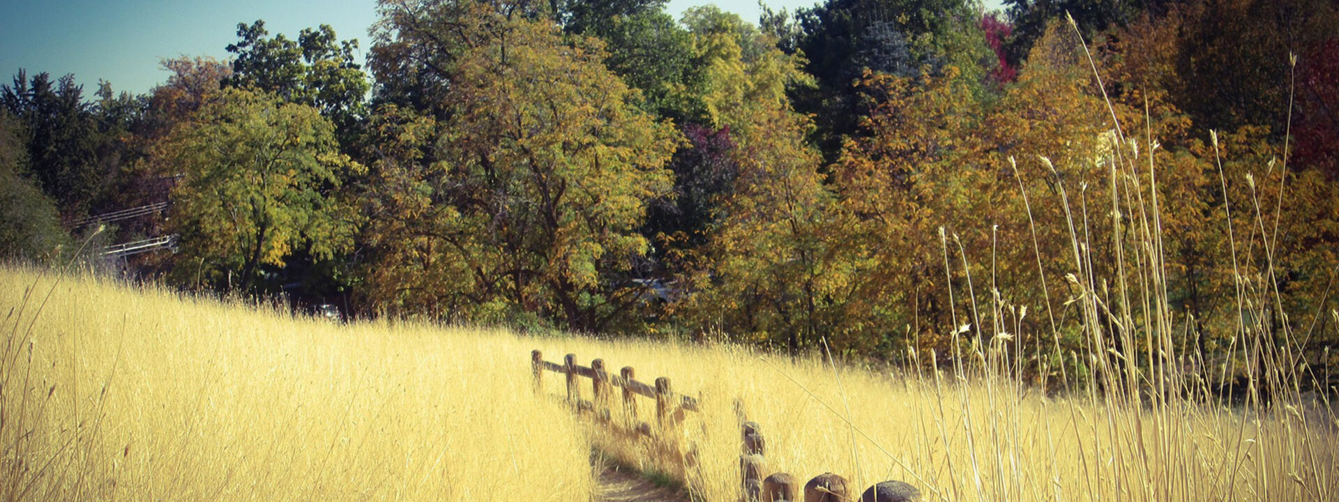 Natural landscape near Boise
