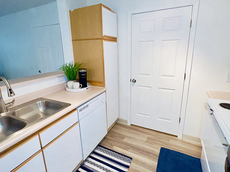 Kitchen Sink and Dishwasher | Shaw Mountain