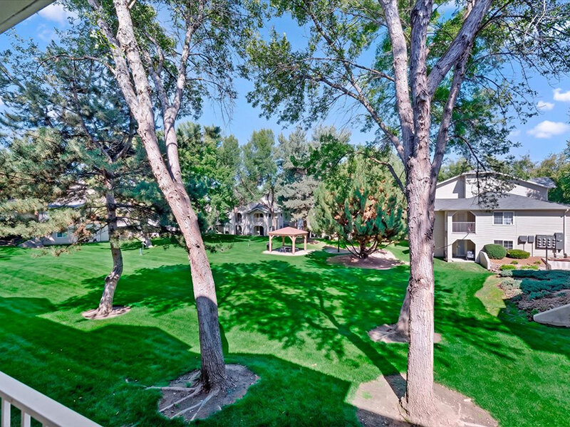 Treelined Community | Spring Creek Apartments