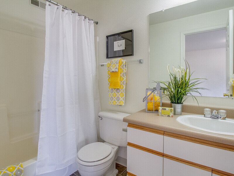 Bathroom | Spring Creek Apartments