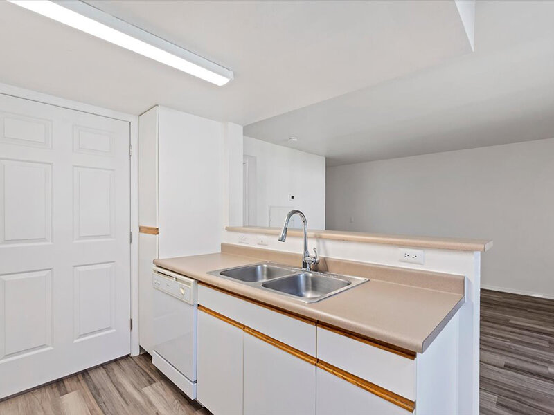 Kitchen Sink | Spring Creek Apartments