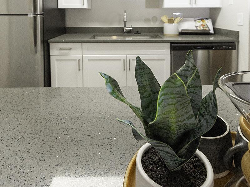 Countertop | Foothill Place