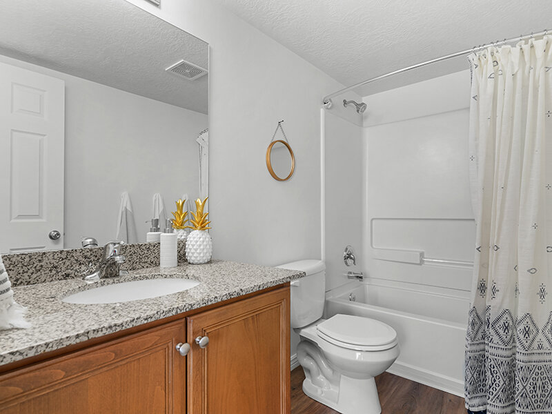 Bathroom Vanity | Settlers Landing Apartments
