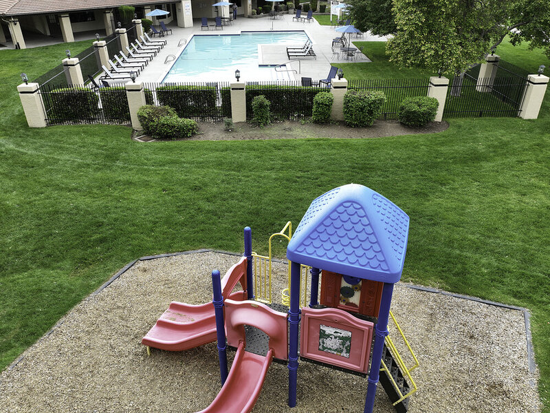 Playground | The Redwood