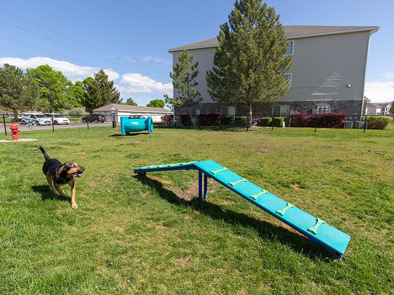 Apartments in Taylorsville for Rent - Maison's Landing Gated, On-Site Dog Park with Obstacle Games