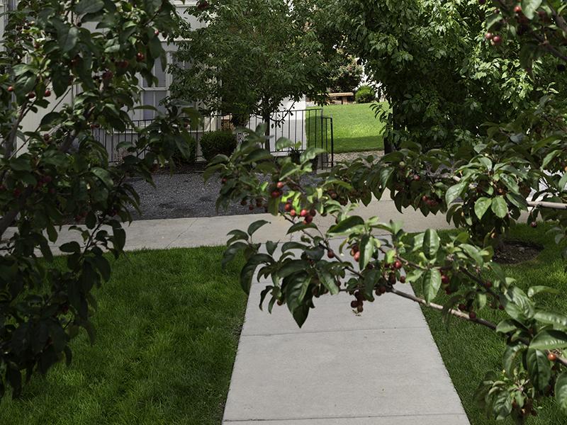 Scenic View | Kensington