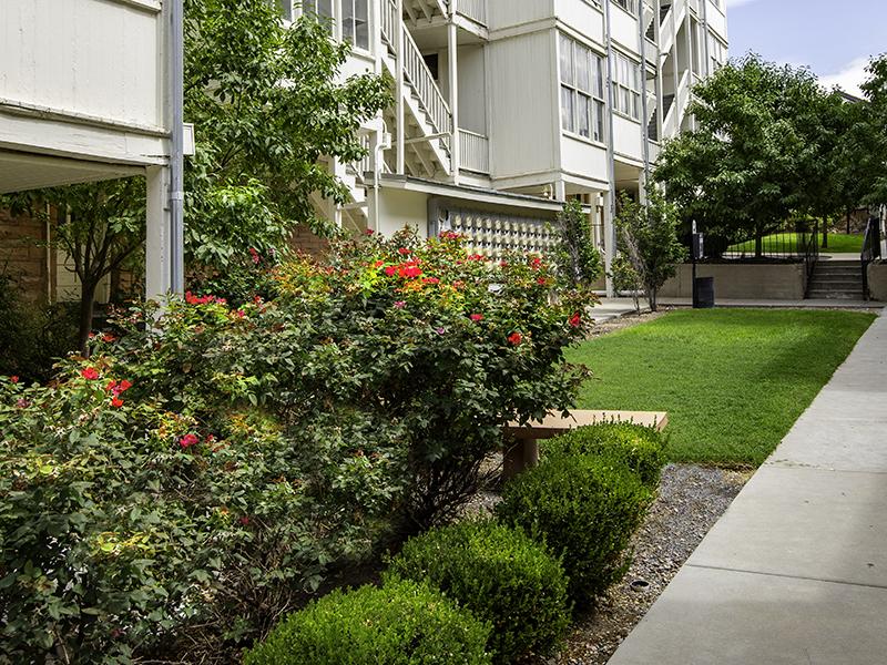 Breathtaking Views | Kensington
